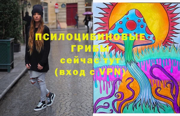 spice Нягань