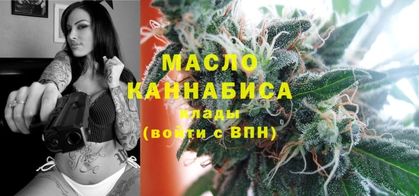 2c-b Новозыбков