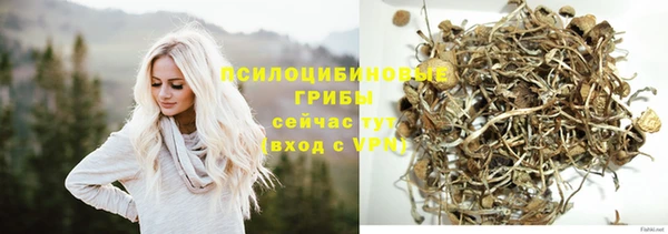 МДМА Новодвинск